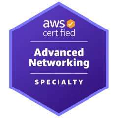 AWS Certified Advanced Networking – Specialty